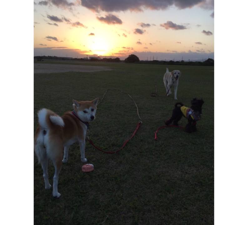 86bdd050 676f 44dd b7e1 30de9467198a