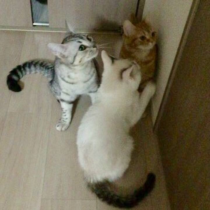 86be0854 921f 4bc6 af0b 072360bb34bd