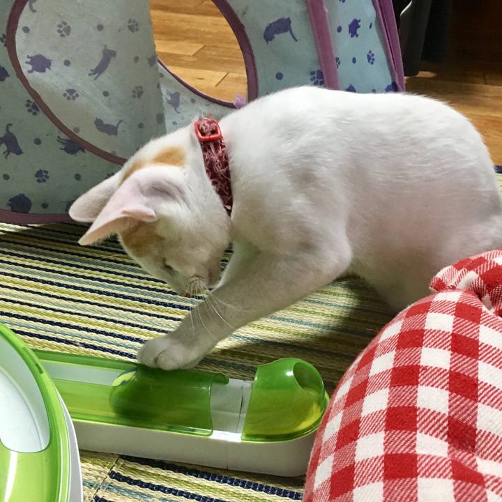 86be2855 451b 4427 861a b55db675fc3e