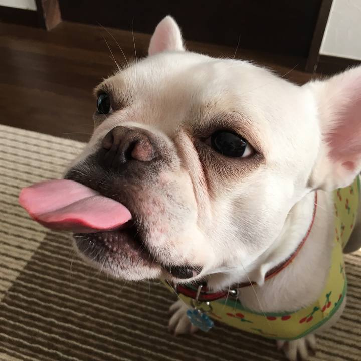 86beb326 9723 4fbd 8b51 21514195219b