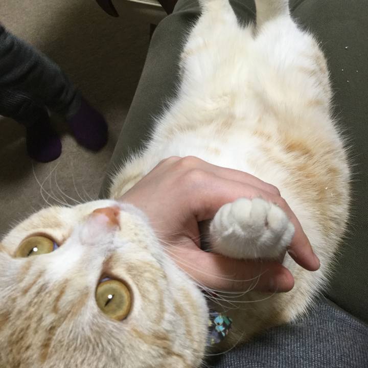 86bf1c85 ba29 4f28 80eb ea767f2fd7cd