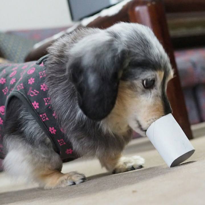 86bf7f02 6df4 4c5b b5f3 0fdf5c6643fc