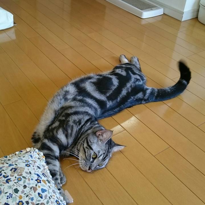 86c12214 067f 4a8c 8e36 08245ffdd5a8