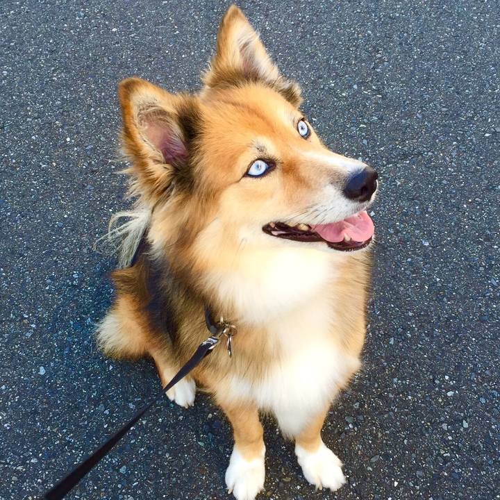 86c20934 141a 4775 ba43 73d35964a05a