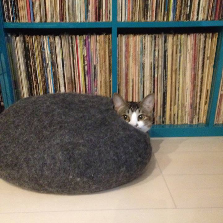 86c22b53 8516 4717 bddd 89a7a4f84b92