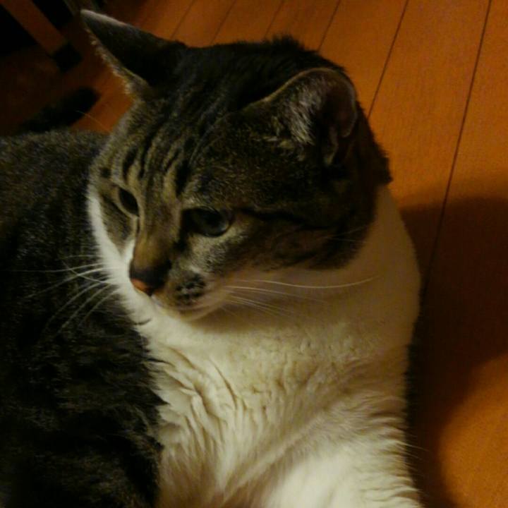 86c26f62 3d9a 469a 9143 ce4e05a6a727