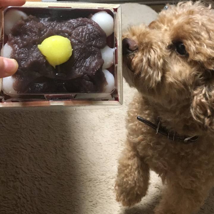 86c273e3 e2c9 4695 9f0e 5c005f19a677