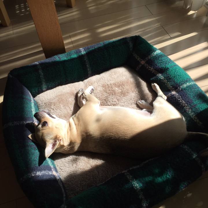 86c2aa14 b774 4e55 bf77 f03fd9fc2485