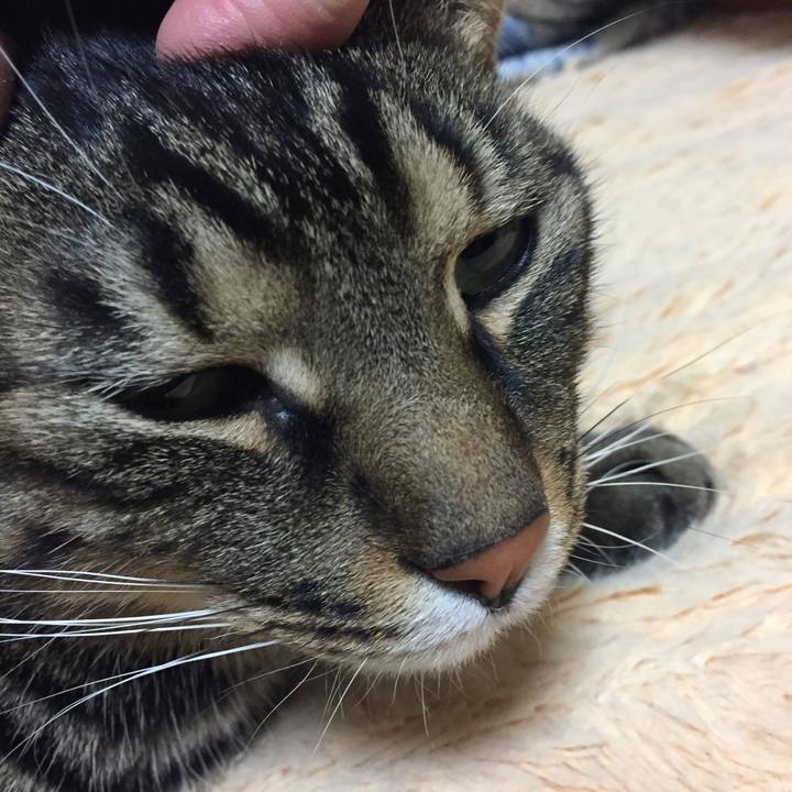 86c2c40c d292 4bce b0e6 f0ae31b7bd43