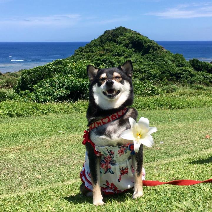 86c341ee 054e 4c68 b55e ee9c968353d7