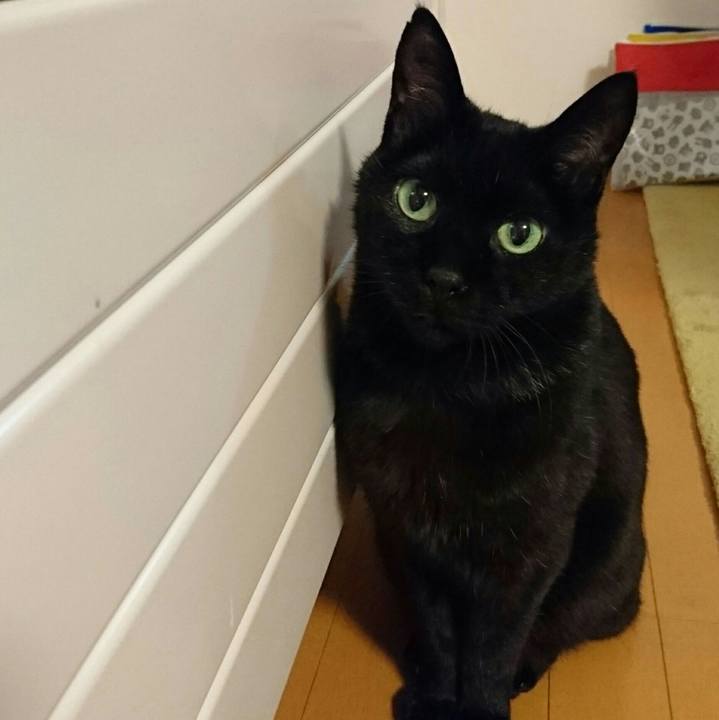 86c356e7 0fcb 4fa4 ace5 1b20e6b0a405