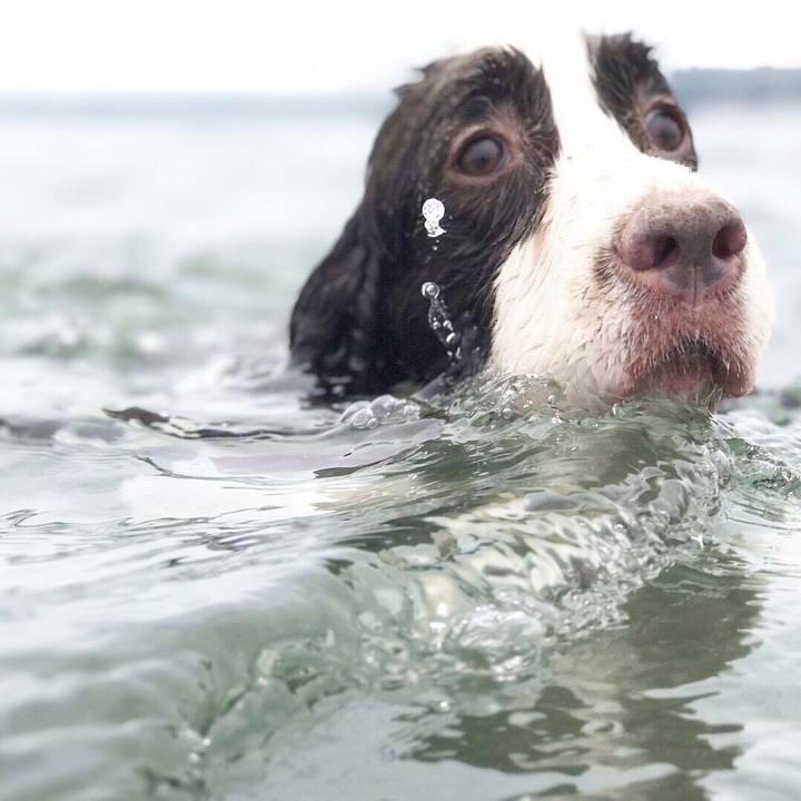 86c3d588 07e2 4f07 86a3 9c61a9d7e73f