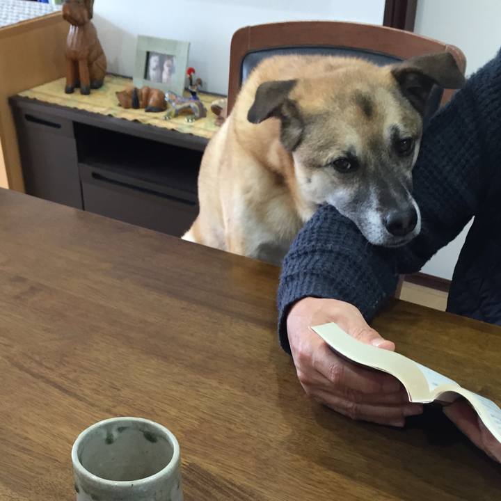 86c69777 f824 4f5b bdf4 f86e2a0afda1