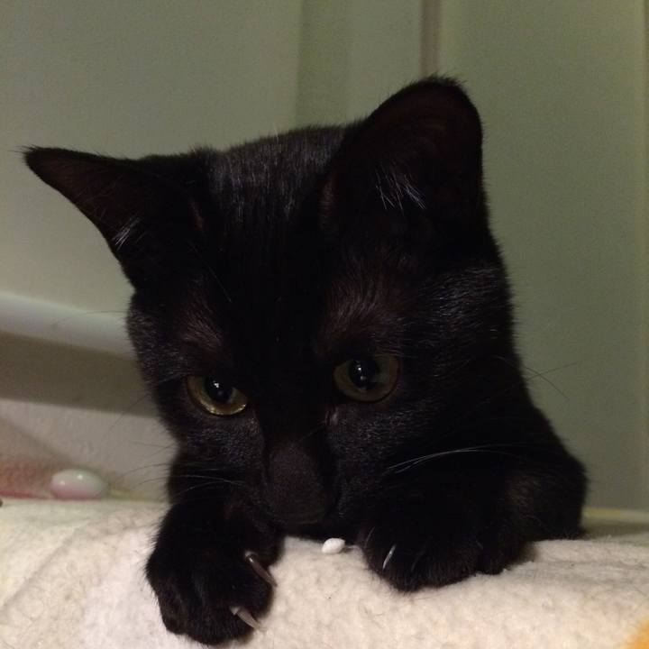 86c69f5e 01fb 426c b0e4 9f1ec8fd7fe8