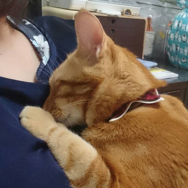 86c6e3f3 4618 4981 bbf8 e6d53a82d363