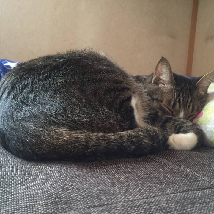 86c7252a 4fb8 4c21 900a 33b5f575f424