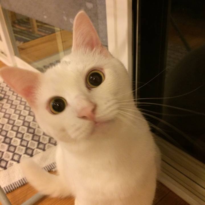 86c72e6b 24a9 4194 b823 0da7f4b708c4