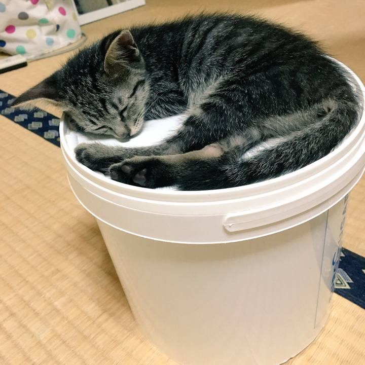 86c7b696 ef4f 4277 8bde bd5e37490526