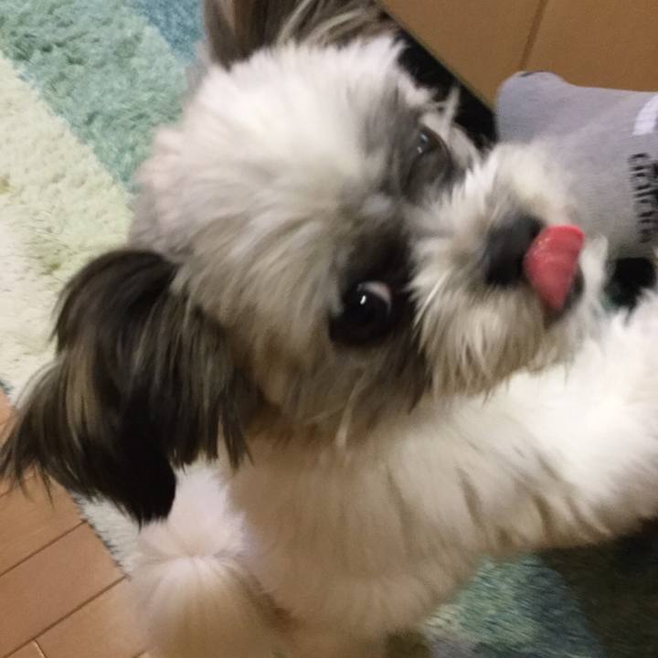 86c89dd7 cd9d 43e4 9287 cb4b068c5e1e