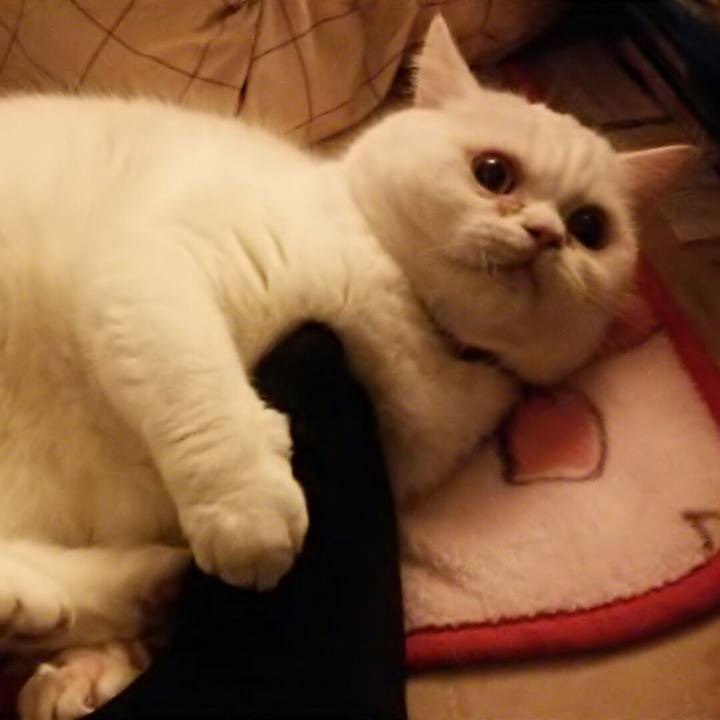 86c8b5ba 79ea 4cd5 9542 2f36334eff78