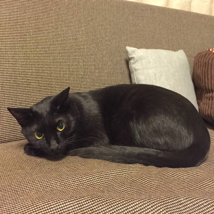 86c90304 fc0f 44b6 b115 8e61a3be84fb