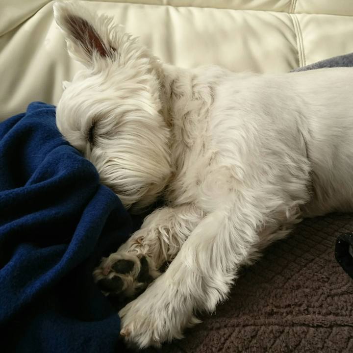 86c96b80 60e9 4134 abec 7b07aa7077b0