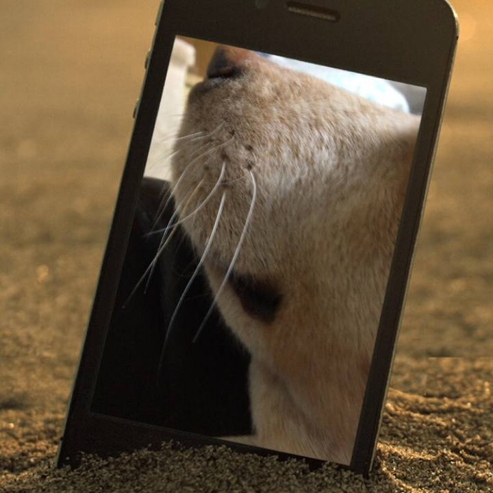 86c99171 1305 482b a325 414706b04a85