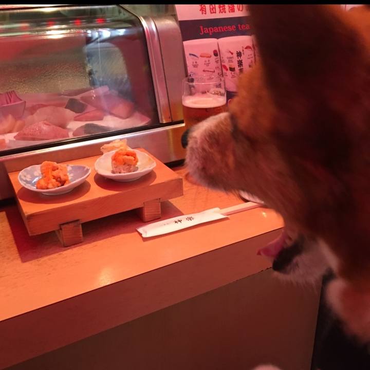 86ca1957 cabd 4fa3 a1d3 adf90ae73177