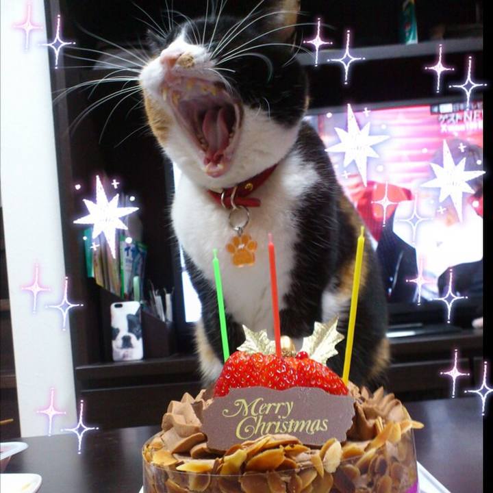 86ca7178 bc07 49a5 bf9b dee7b5f3a5db