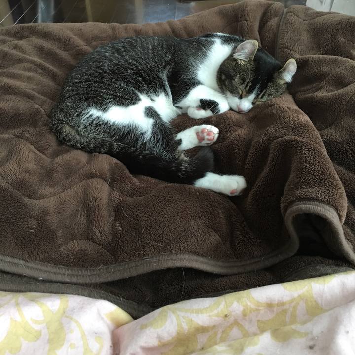 86caaf3d bc07 4d13 a03d bfa7137e488e