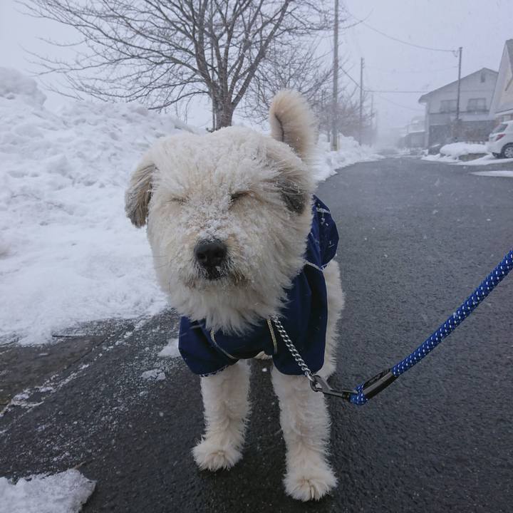 86cad616 0a50 4975 ad1d 45a57ab8f8bb