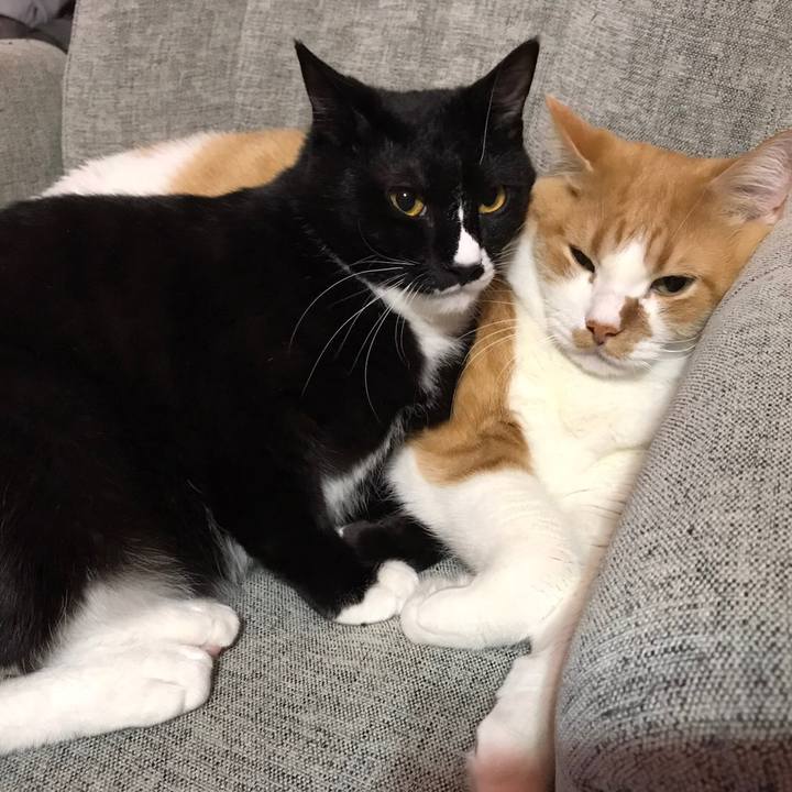 86cb2c0f f412 4a15 844e 5397b621ebf6