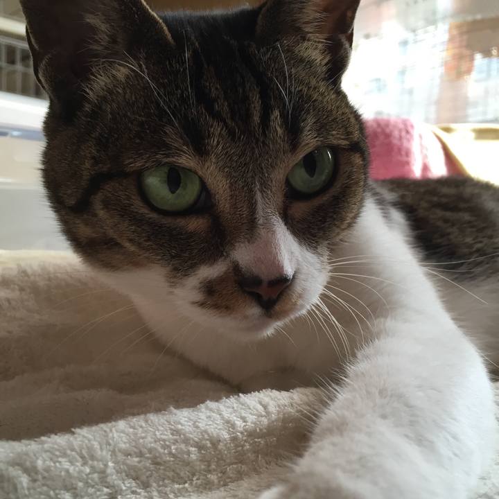 86cc0ae1 92f3 4461 b7be 9c54f5bc1f63