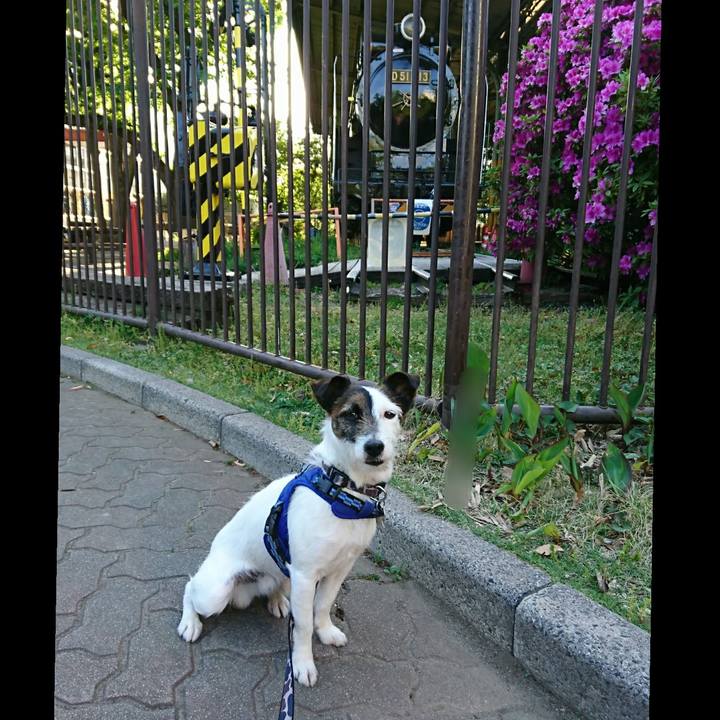 86cc5201 9d30 4904 8178 d682bbacc8fb