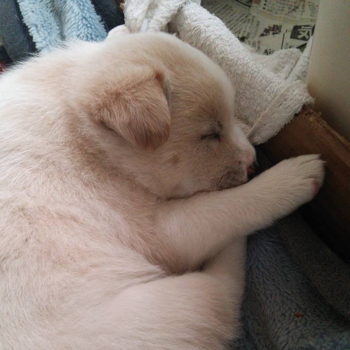 86cc605f c78c 482e 87f3 63b2f3445761