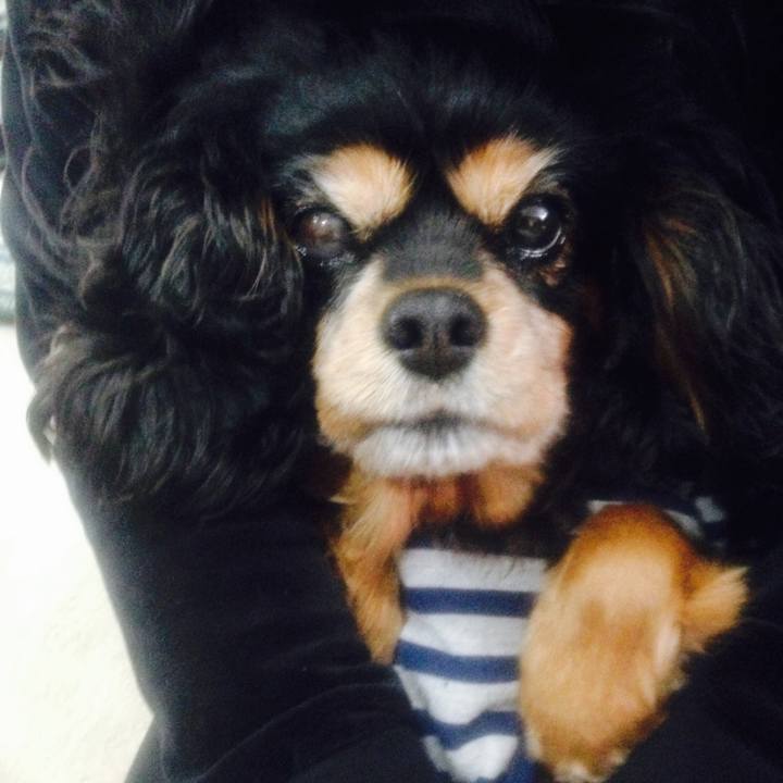 86cc7c13 0453 484d 8b03 ce06a1db5f6c