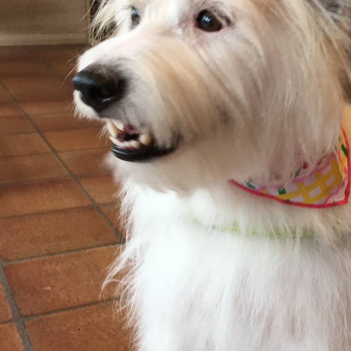 86ccb557 353a 4b00 a025 951971f4833f