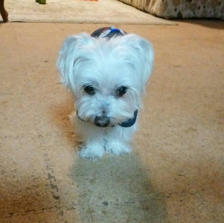 86ccc753 6d3d 4a79 8147 241a4796cfae