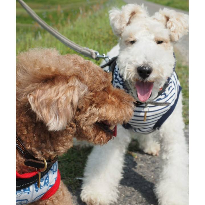 86ce0ccc 0981 43c2 93c2 71ffb8fefd2e