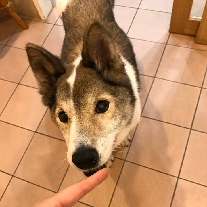 86ce1aa6 406e 44d5 b6b3 9c50210b6b9b