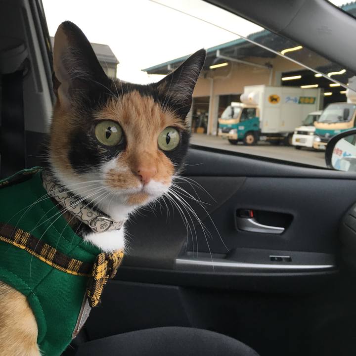 86ce3c1b ba5c 4c0b 8e3f b3cf37495646