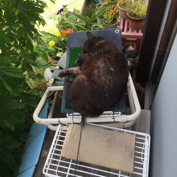 86ceac67 77df 458c 8133 0e162c4e90eb