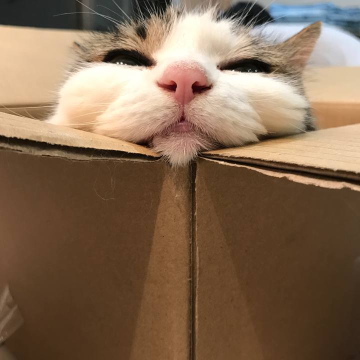 86d00160 f51f 4559 a946 2e2fd9bd0167