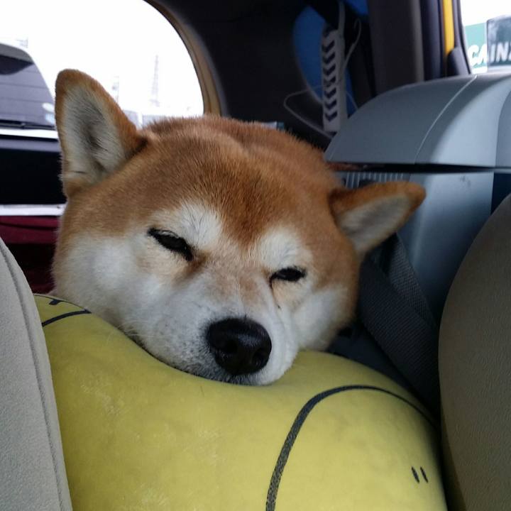 86d02432 b6fb 491f ab74 391e7dc9d4eb