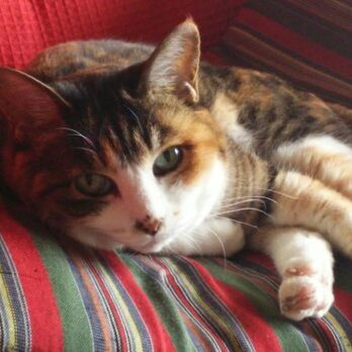 86d058d2 8e20 49fe 8d61 2e81508b1a7c