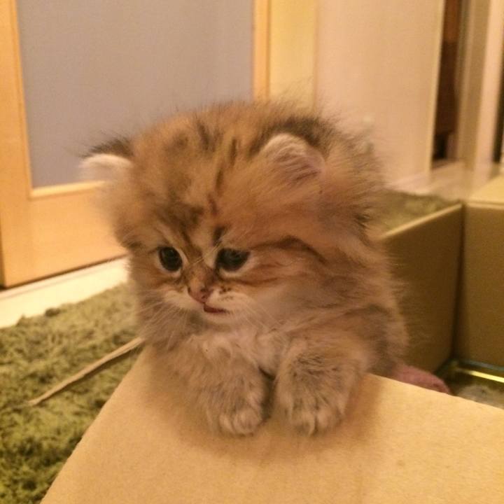 86d0b4a3 880b 411e beb8 544c98489e97