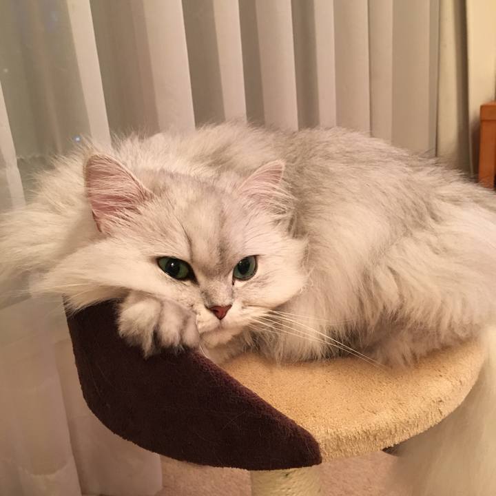 86d0c4e6 a36c 4af5 8606 e4bcbd45dd9b