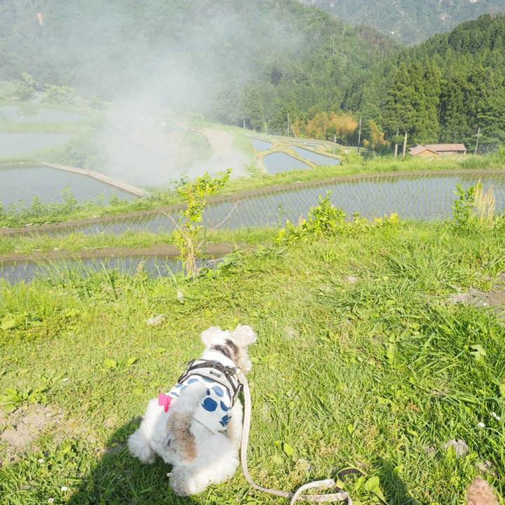 86d0cab4 90f8 465e bb6f b49cce643ac1