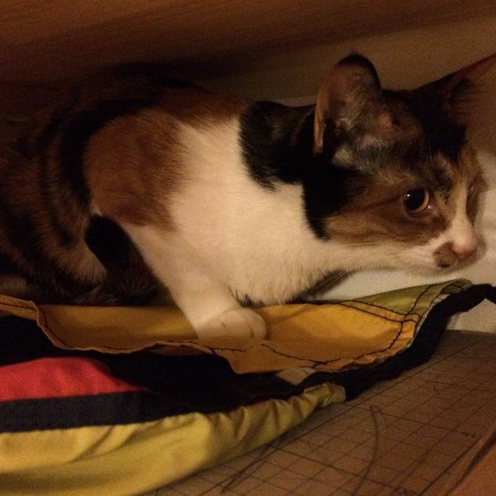 86d0da35 61ea 4fd7 8828 5775b4c91319