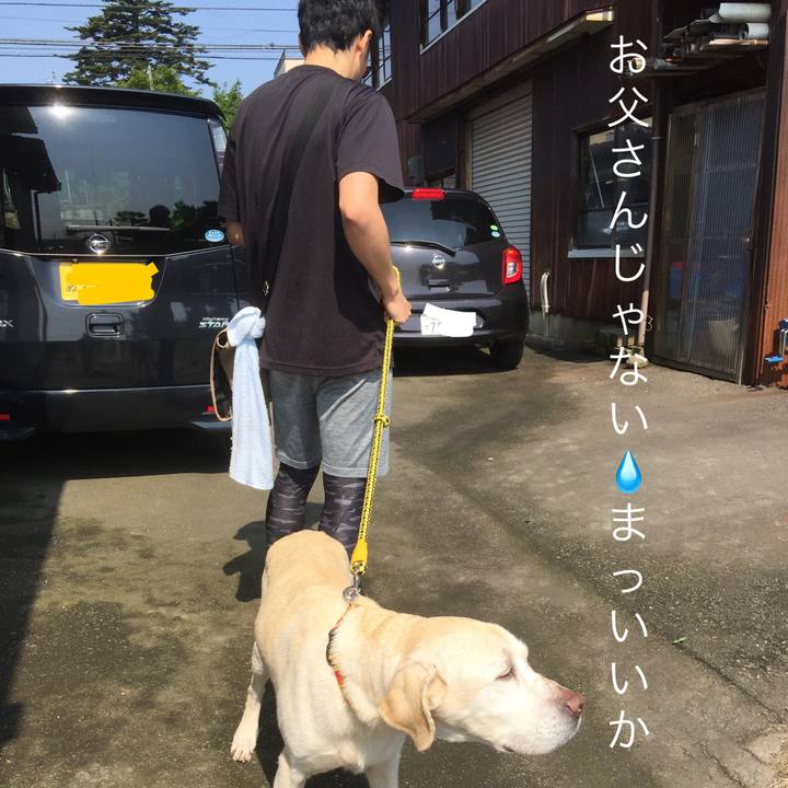 86d109a5 37c1 4052 8671 1dc913a743b7